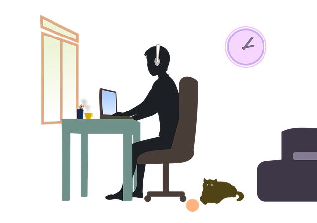 work-from-home-g4050ed536_640.png