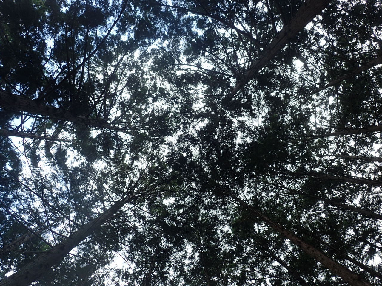 P7220603.JPG