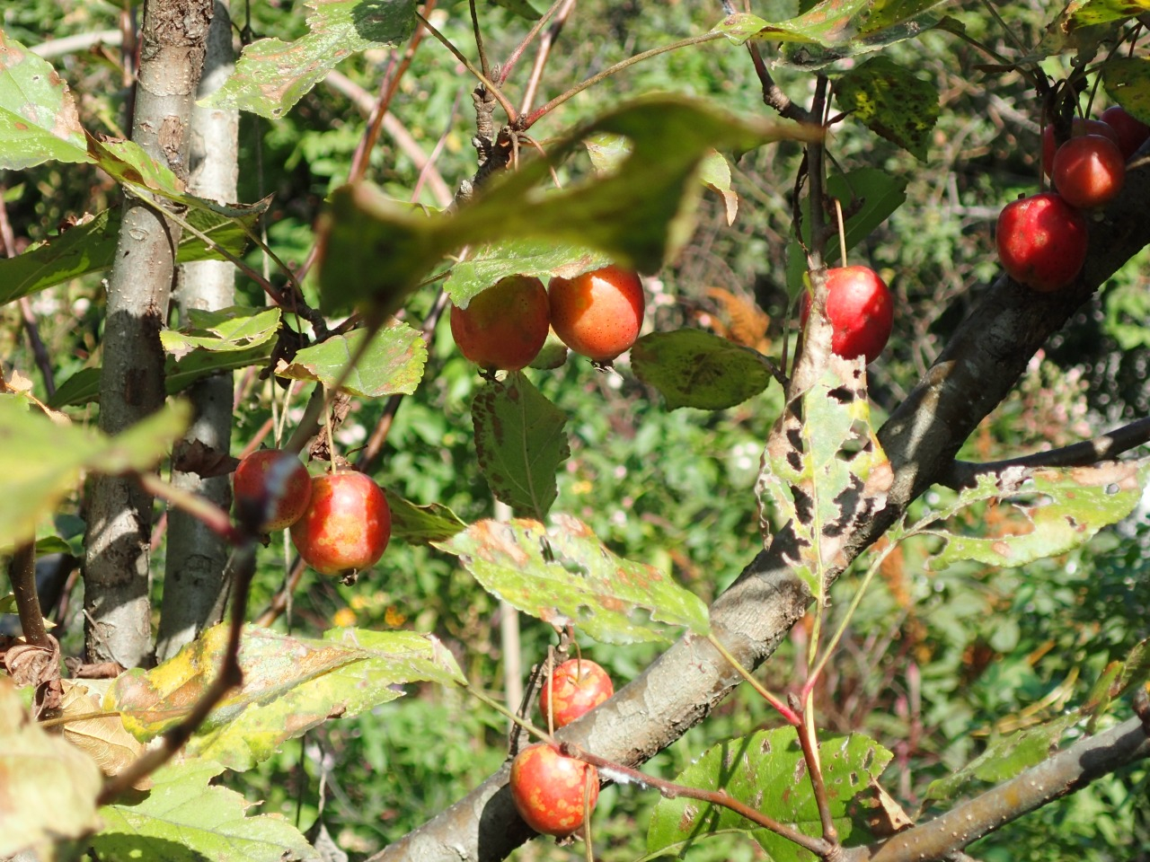 PB160034.JPG