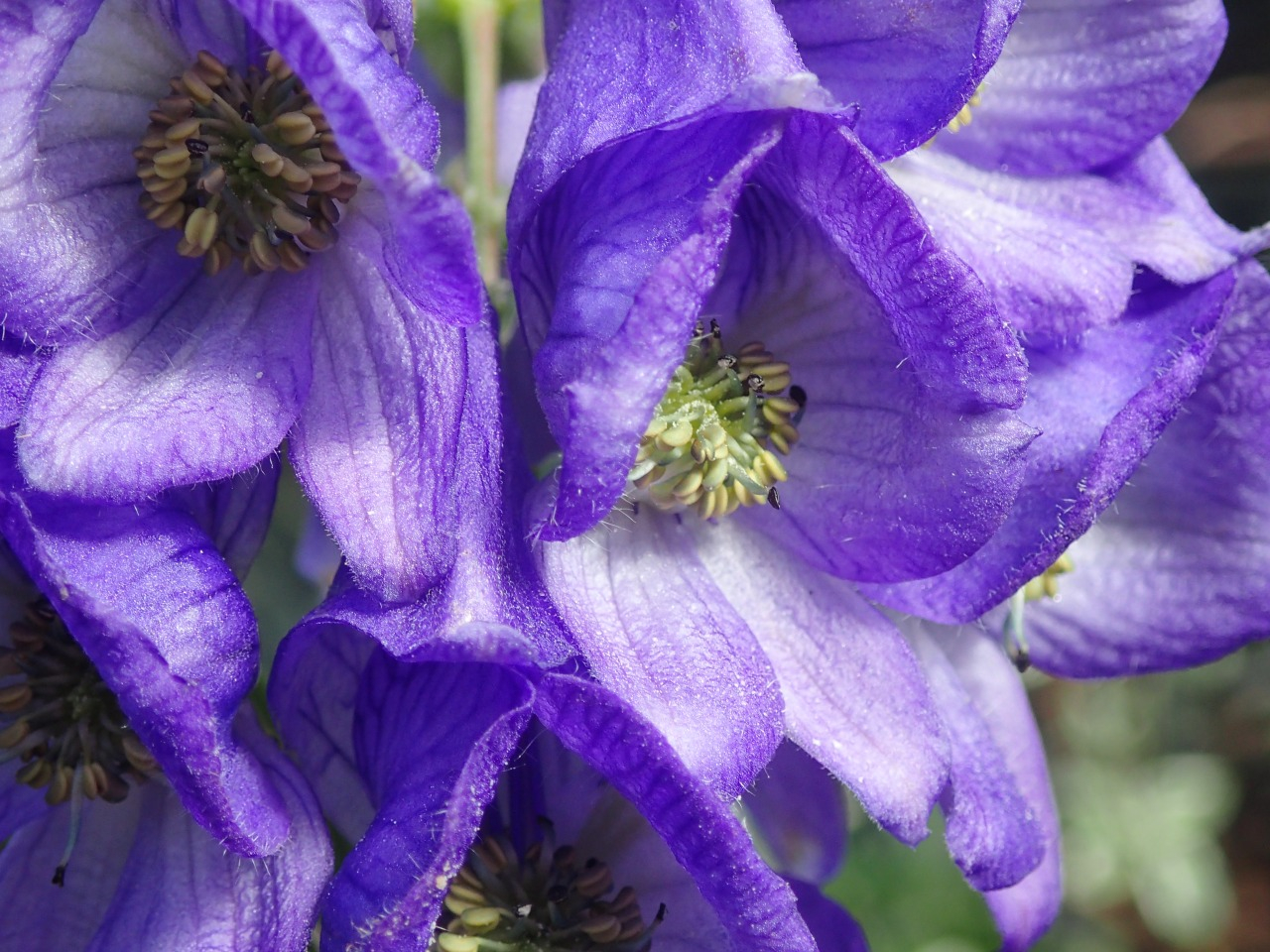 PB010366.JPG
