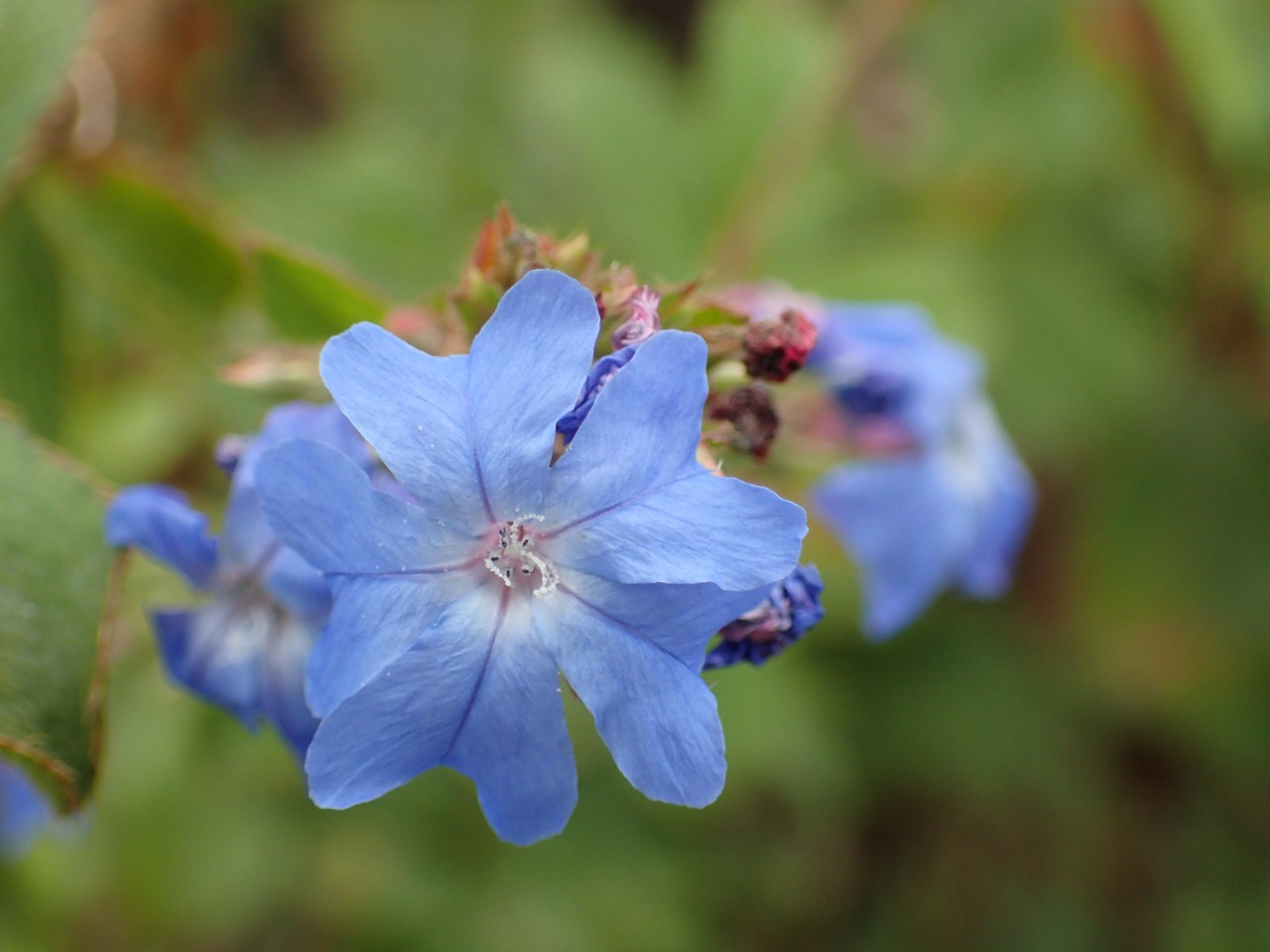 PA120835.JPG