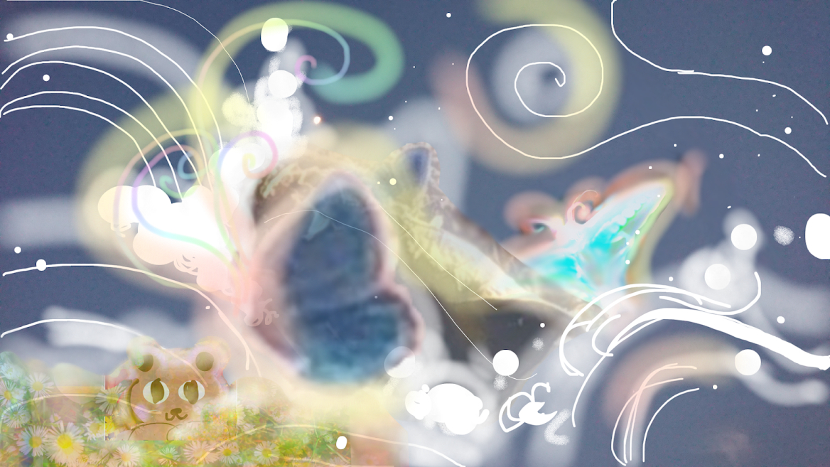 sketch-1668554968556.png