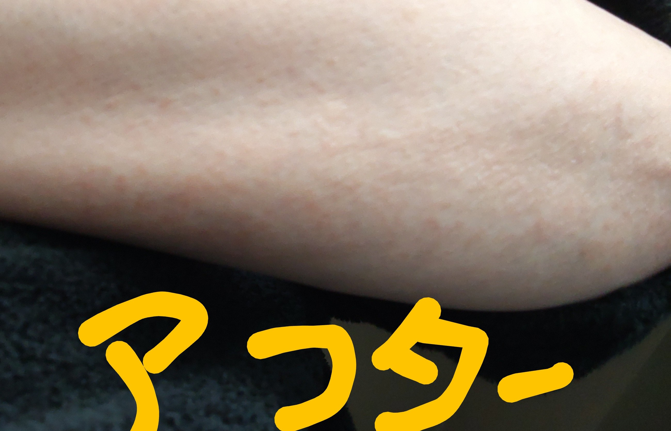 DSC_0037~3.JPG
