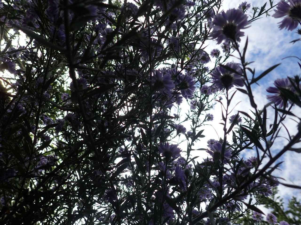 PB010195.JPG