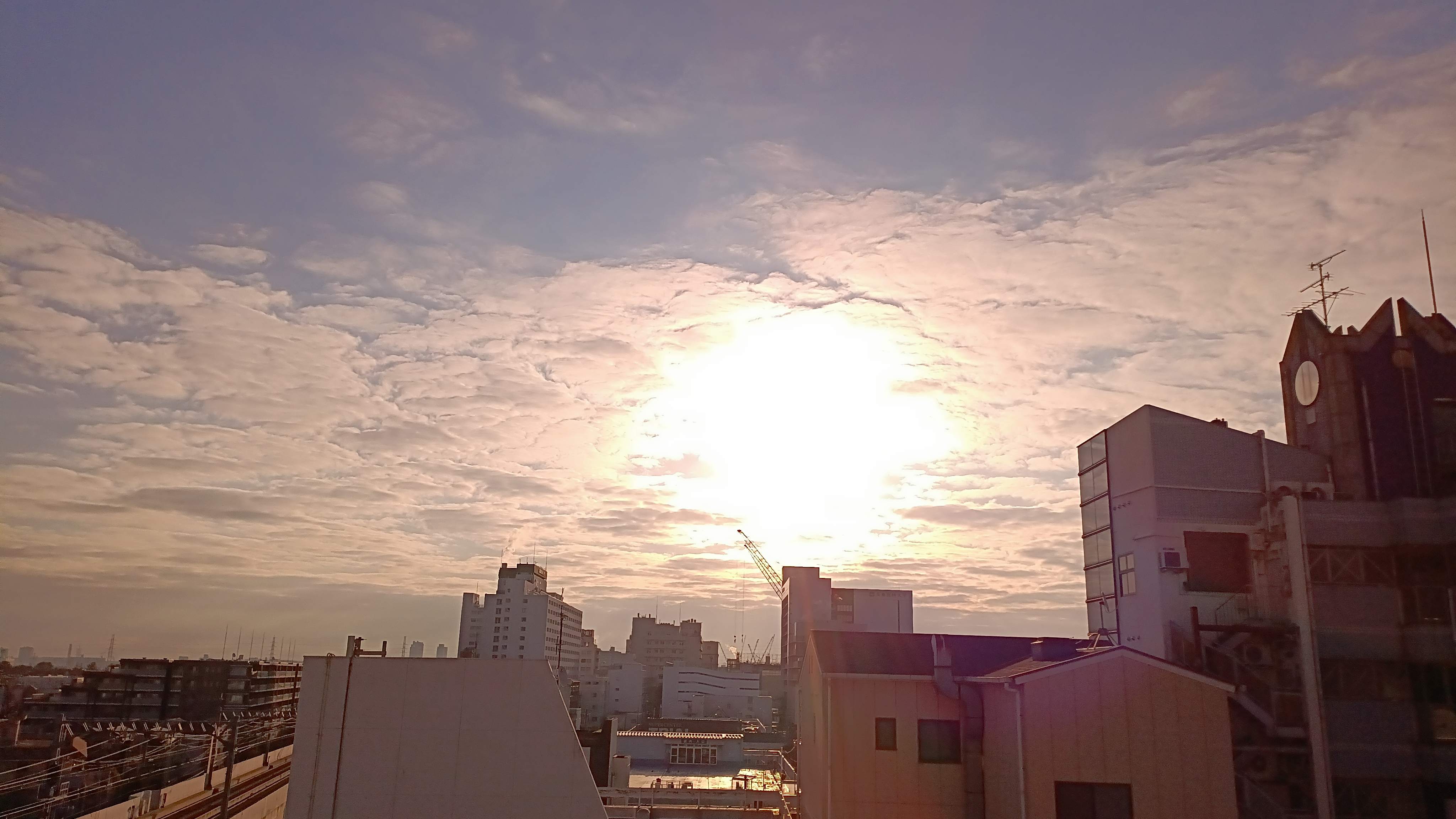 IMG_20250225_073712_103.jpg