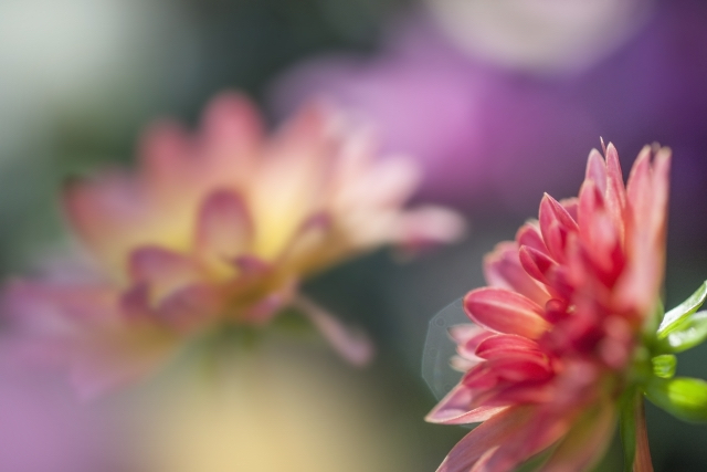 EB291201-0A7A-454E-BA4C-B6BB224A212B.jpeg