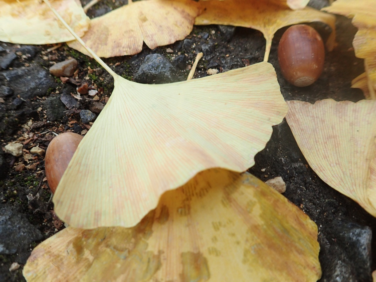 PB130014.JPG