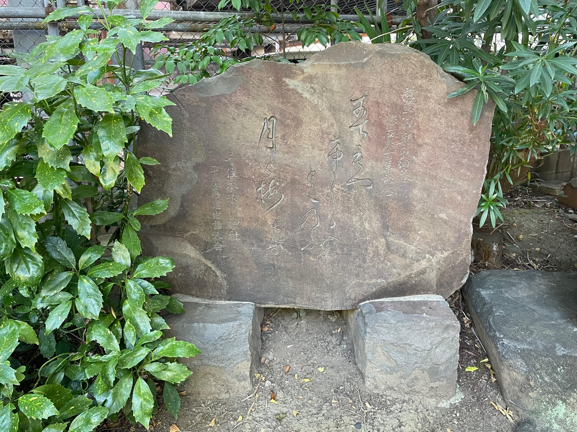 松尾芭蕉.jpg