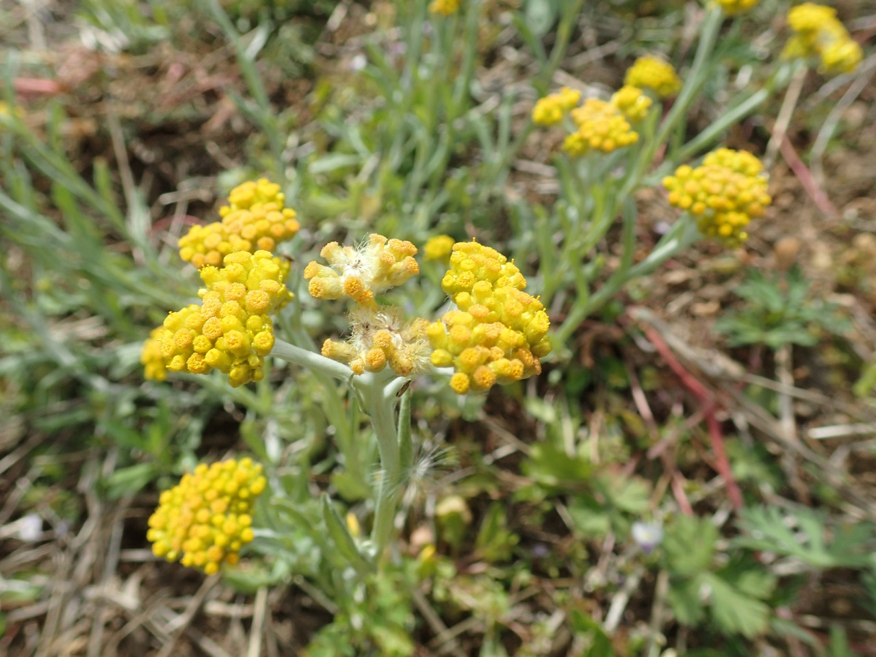 P4290292.JPG