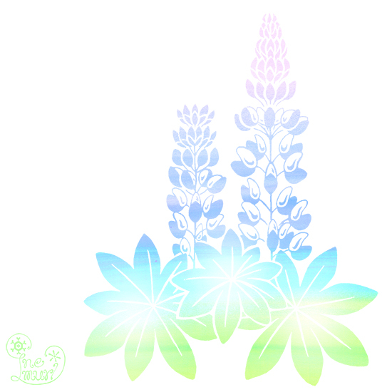 lupine2.jpg