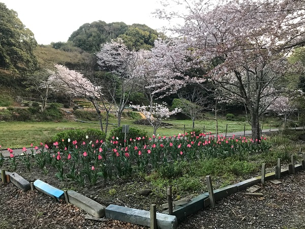里山スケッチ 風景.jpg