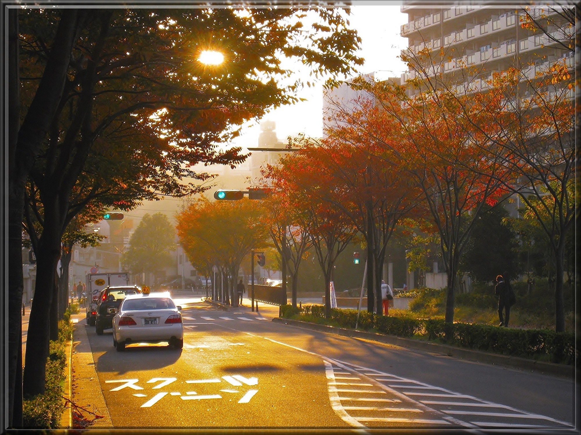 autumn-1725205.jpg