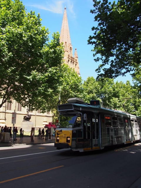 33910172_s.jpg