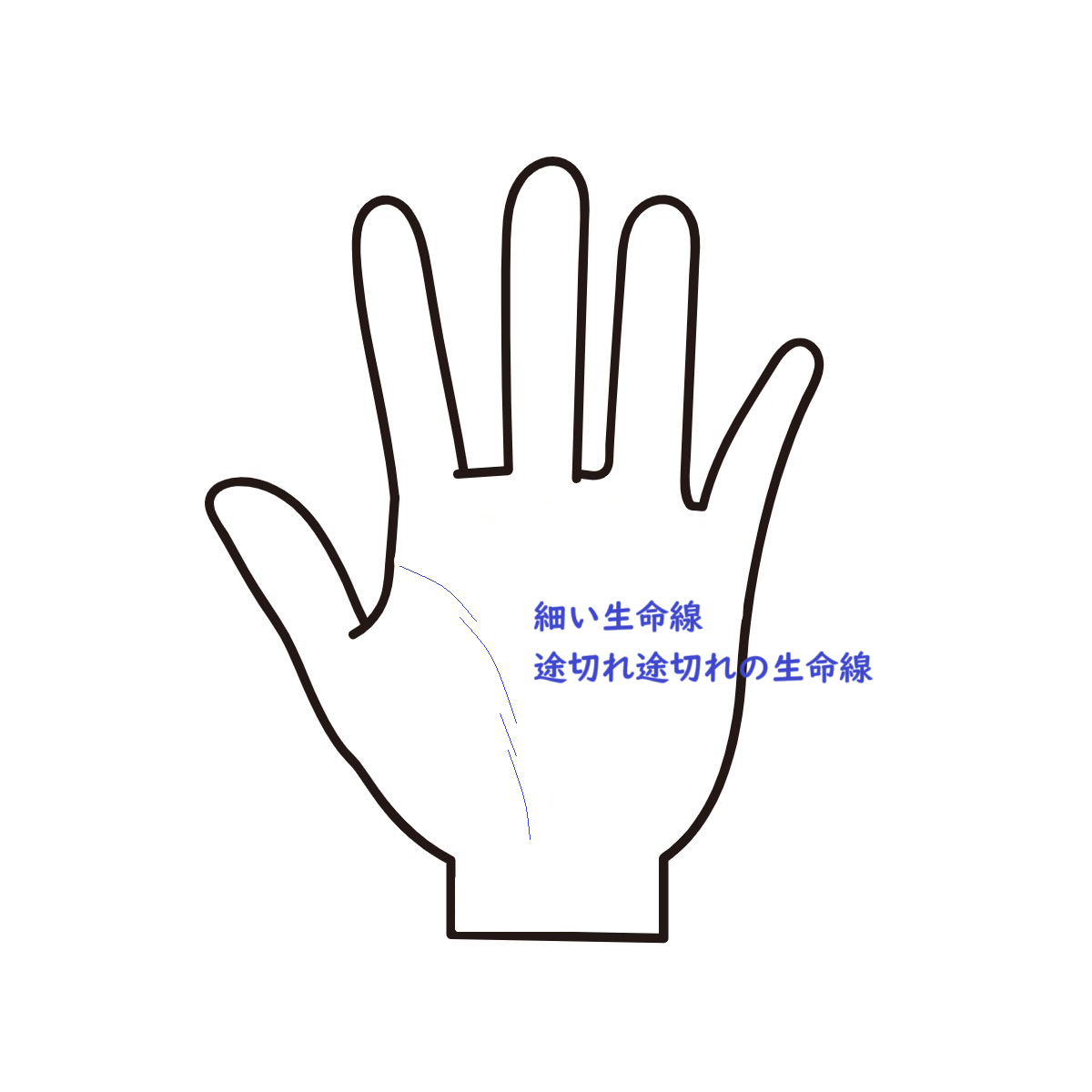 細い生命線.png