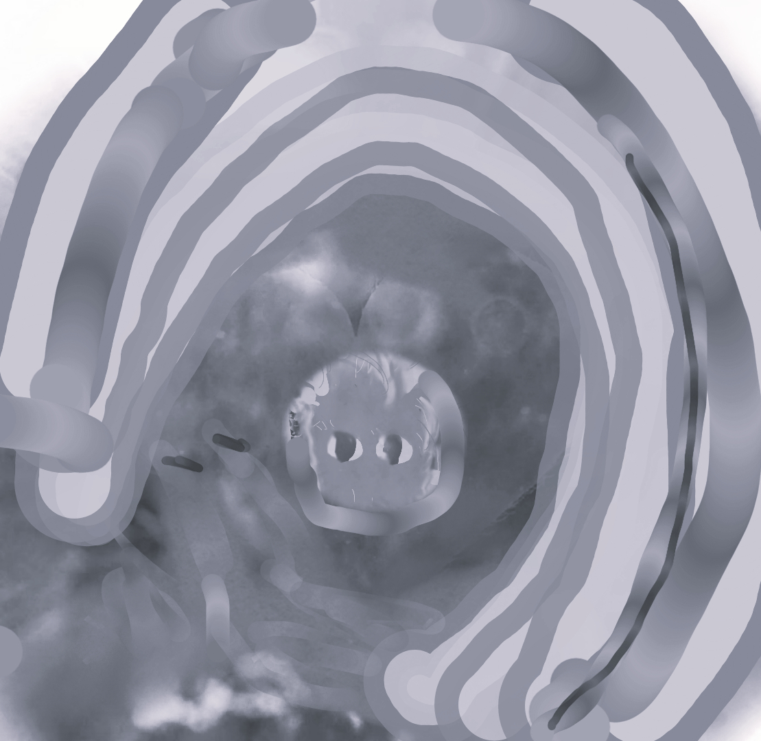 sketch-1767863811028www222ひｚｄめ.png
