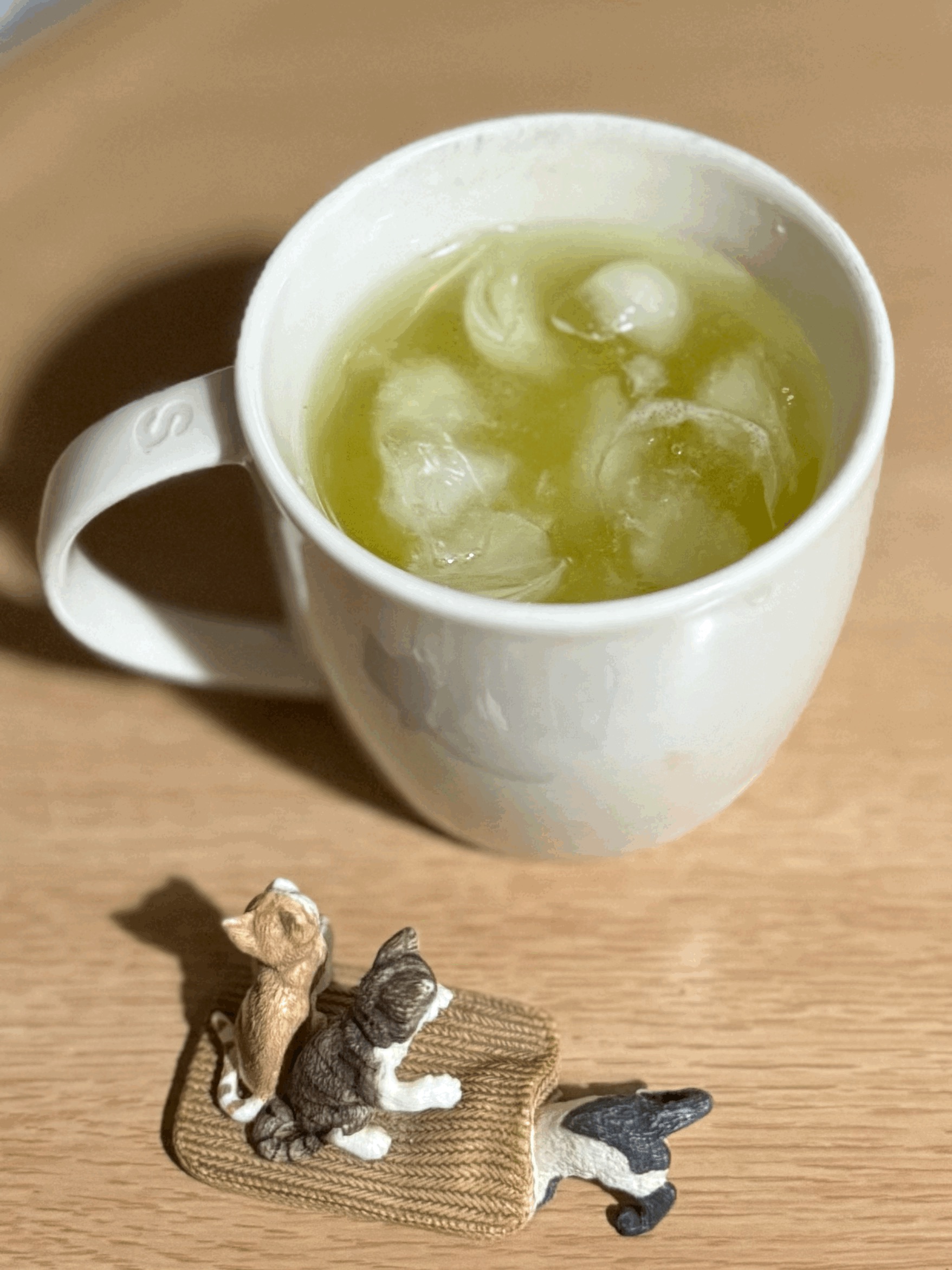 tempImagesvKA06.gif