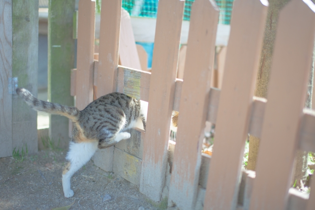 19E09333-0EDF-4978-8DFF-92CAD816DBD2.jpeg