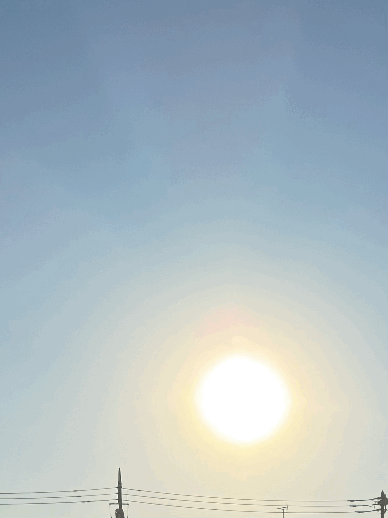 tempImage8dXkBn.gif