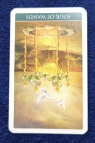 20230513_090249 (002) 逆位置.jpg