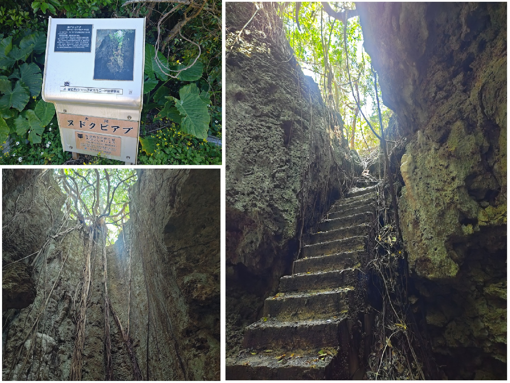 ヌドクビアブ（〒906-0502 沖縄県宮古島市伊良部池間添１２２９）1.JPG