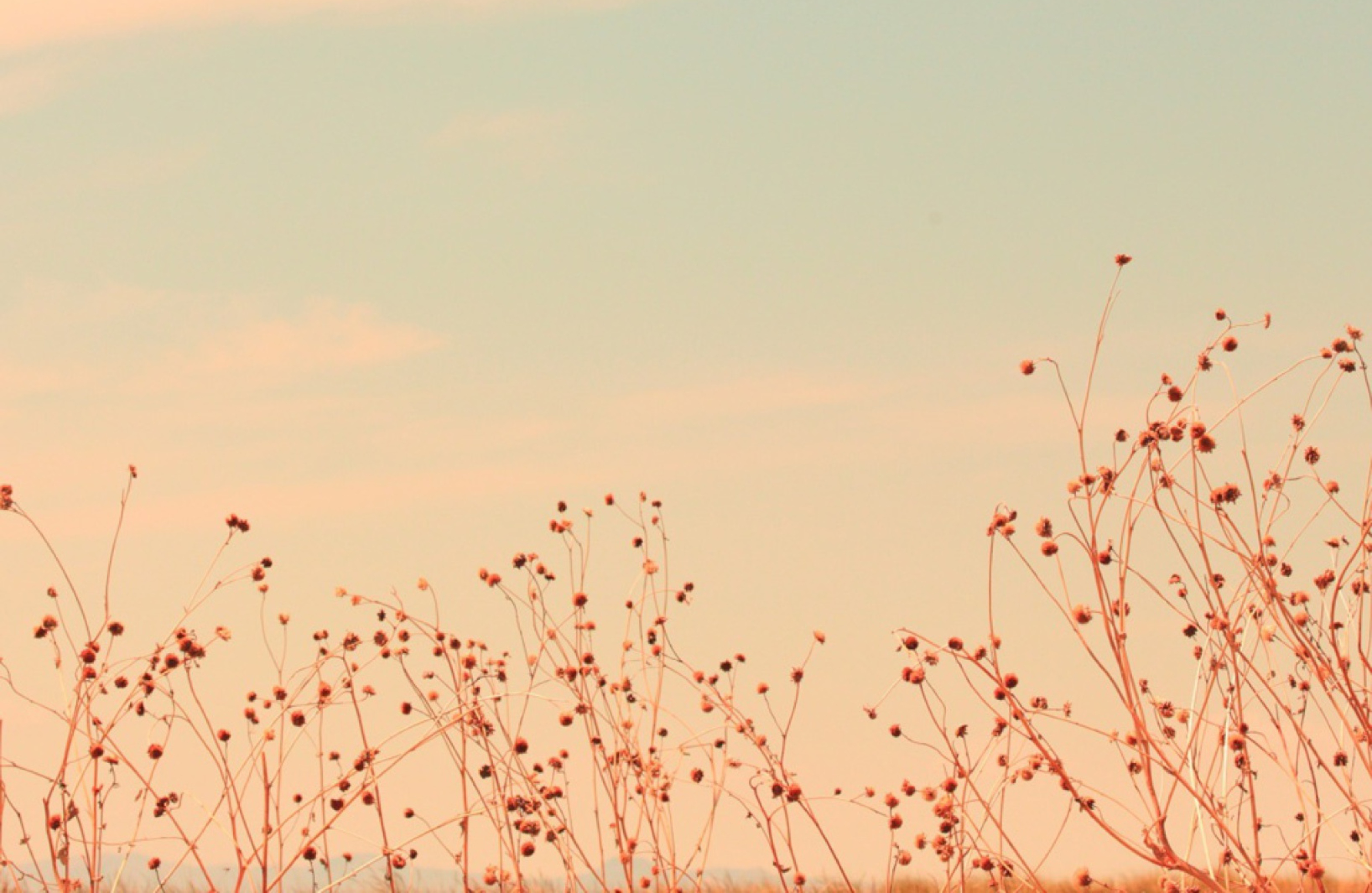 Antelope-Island-wide.jpg