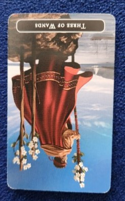 20230821_085511 (002).jpg