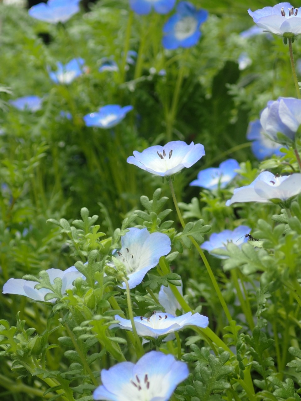 P4050291.JPG