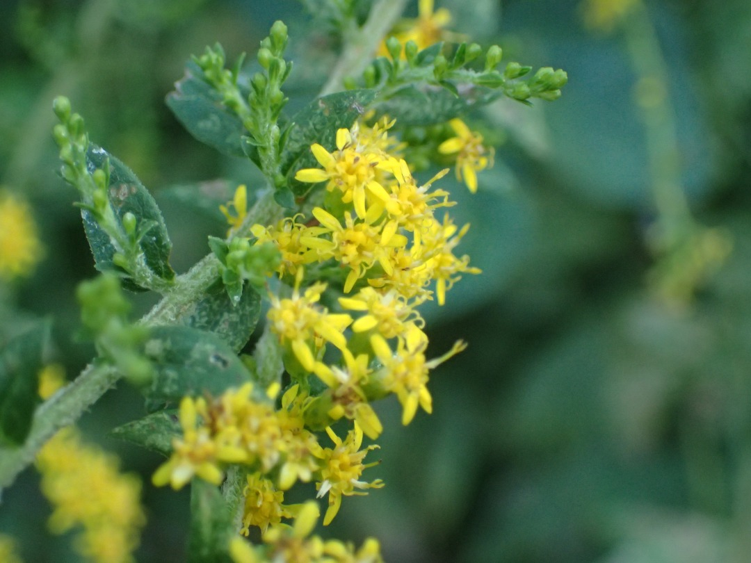 PA101638.JPG