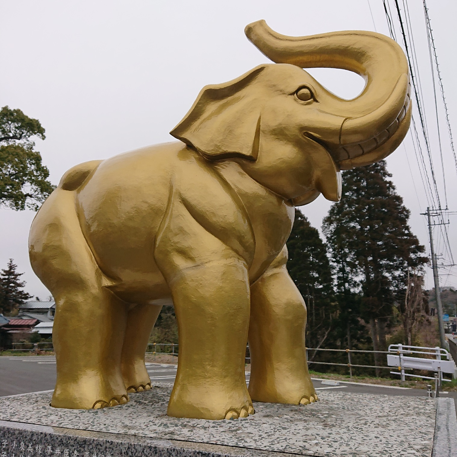 投稿用金のゾウ.jpg