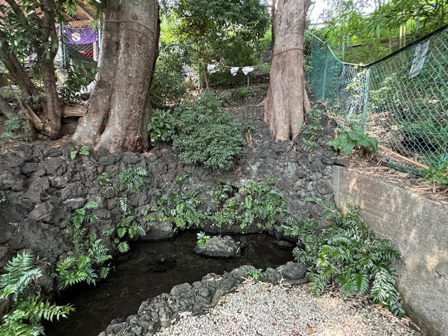 瀧.jpg
