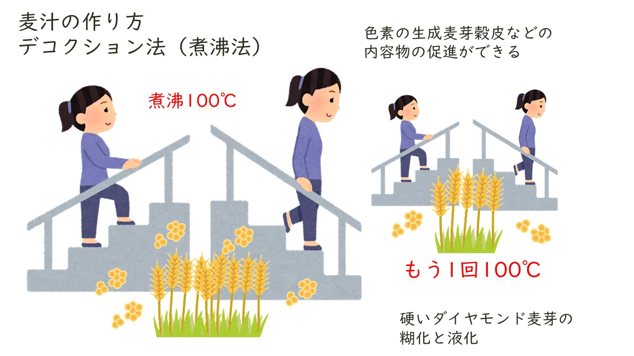 デコクション法表紙など.jpg