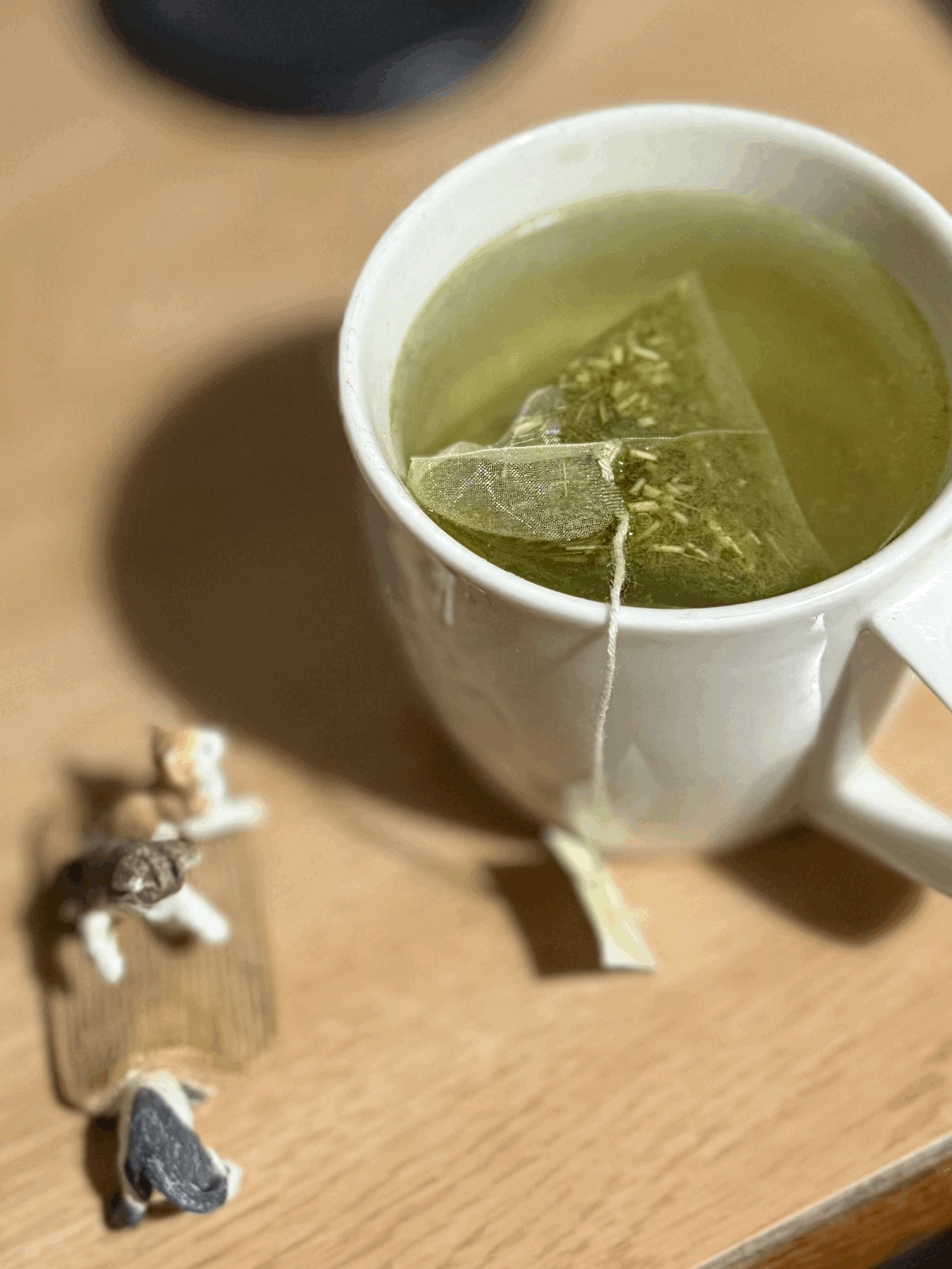 tempImagewj176E.gif