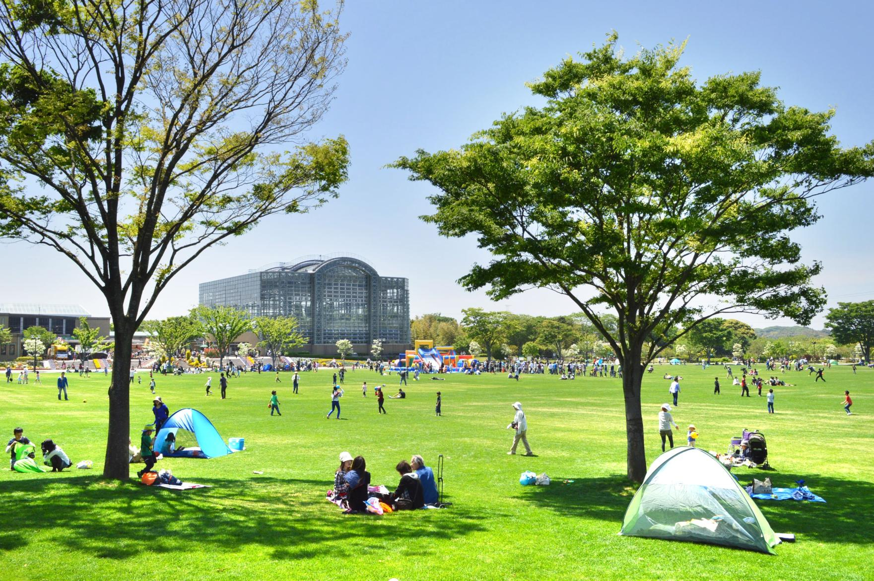 公園１.jpg