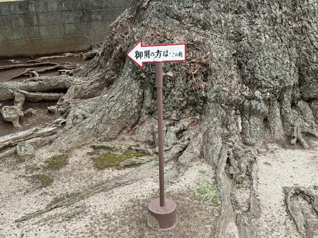 案内板.jpg
