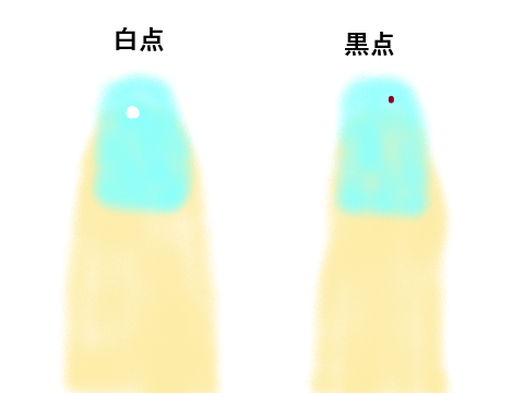 爪.png