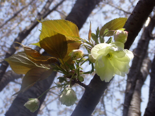 P1010107.JPG
