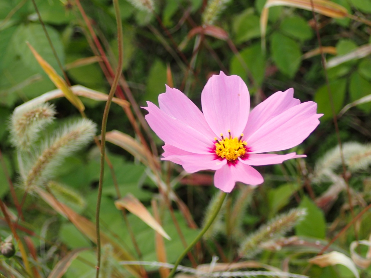 PB080078.JPG