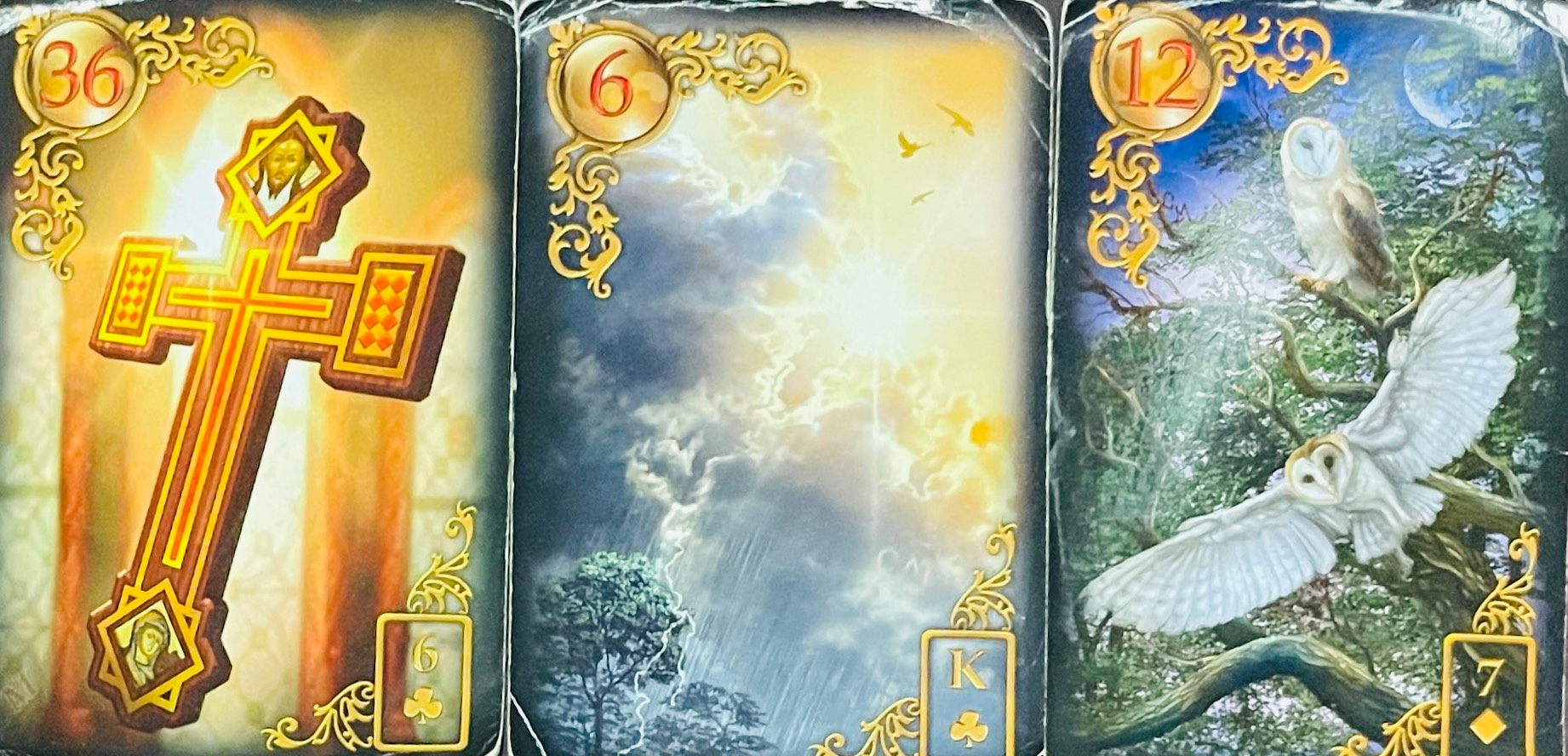 S__199106572.jpg