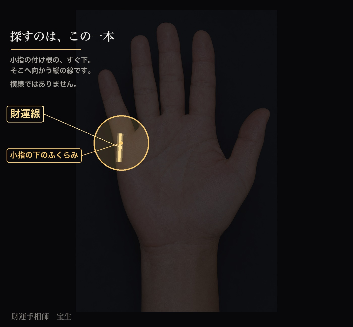 fig04_財運線の位置.jpg