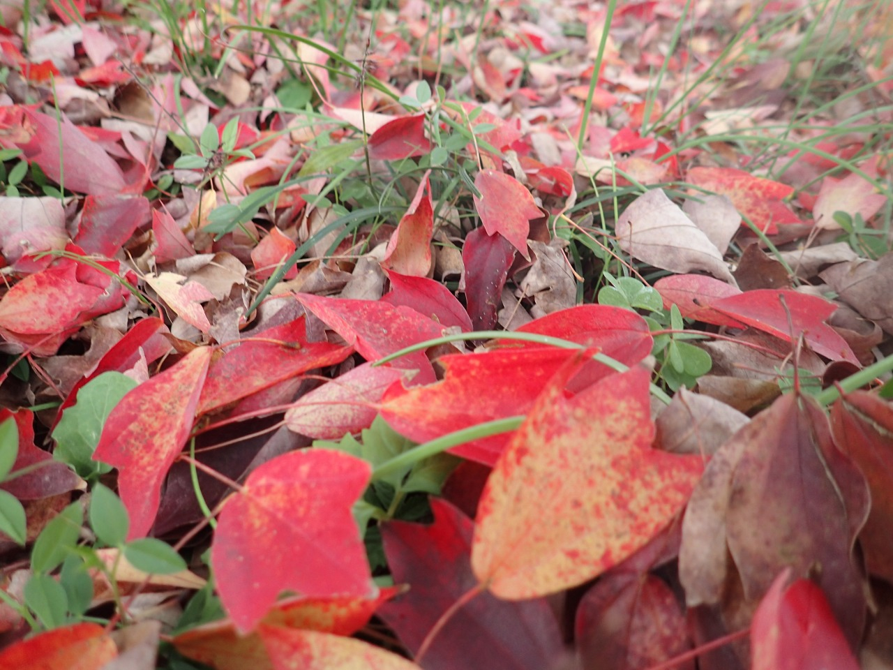 PB130183.JPG