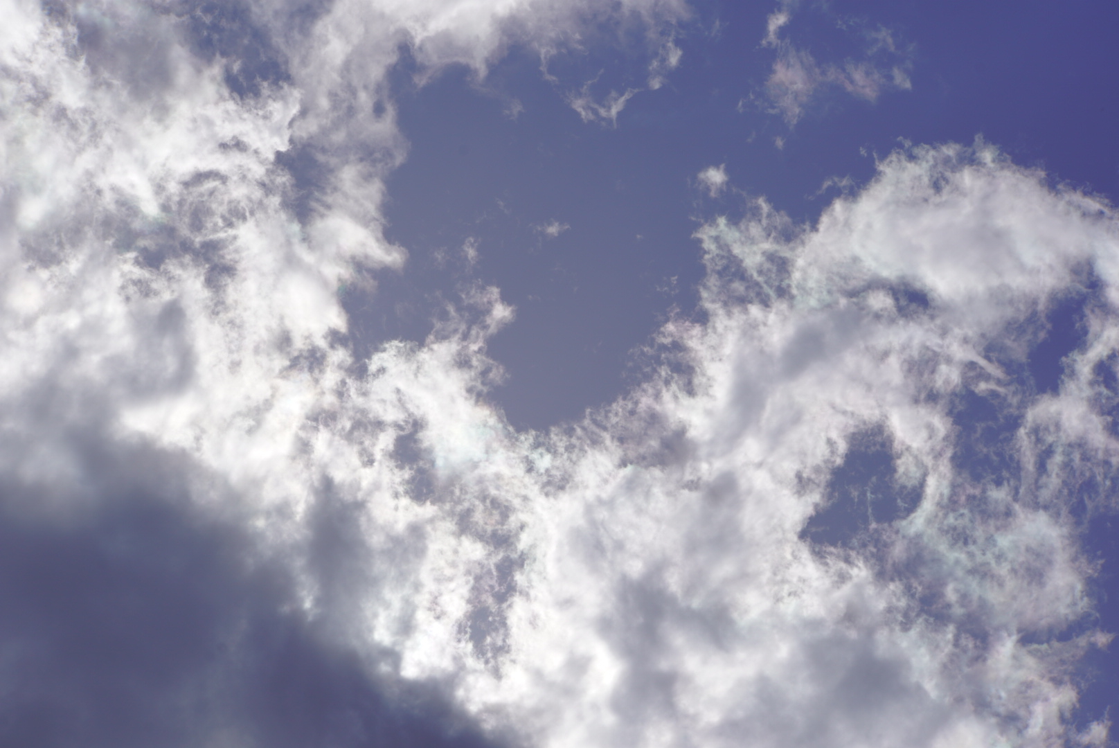 C23E98AD-A35F-46FF-AE9B-19E34D3D5A77.jpeg