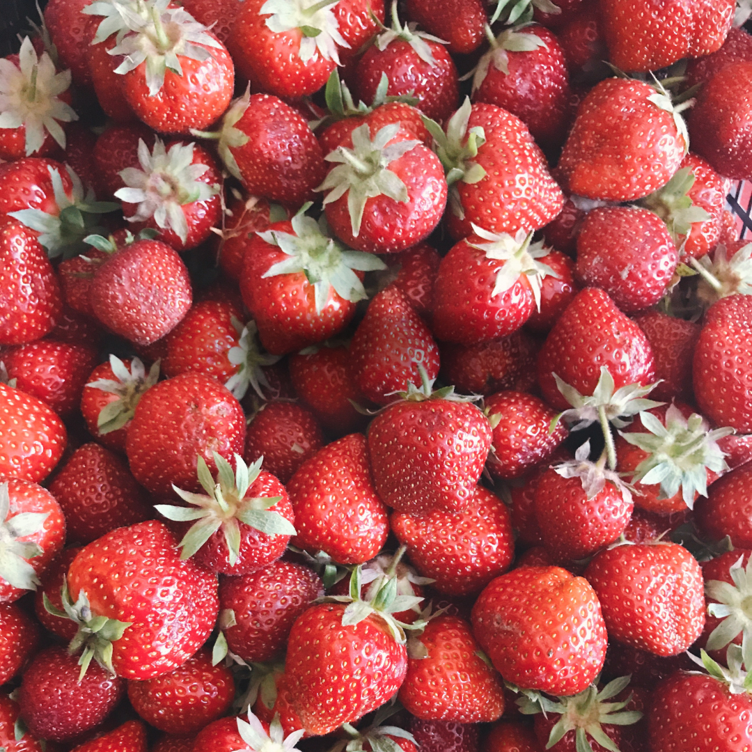 名称未設定のデザイン (11).png