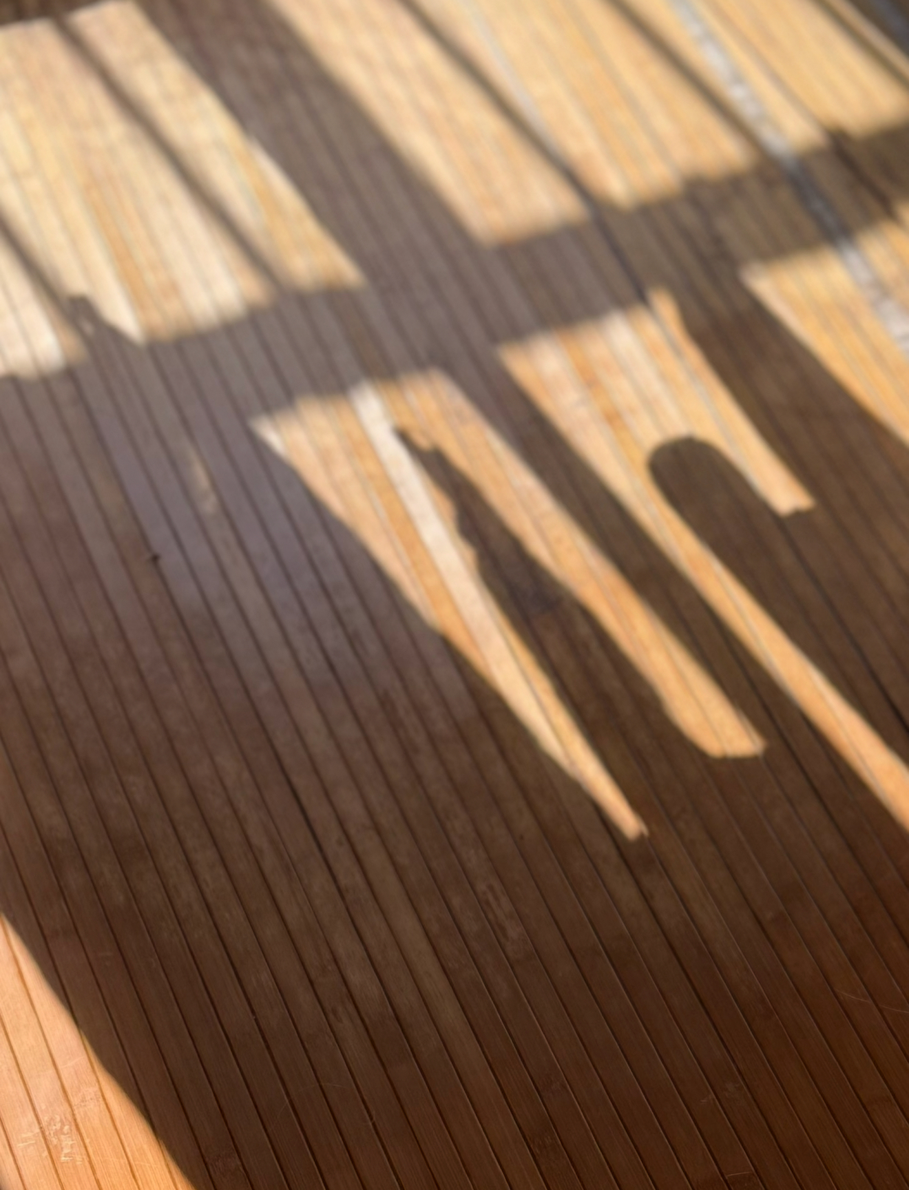 最新の写真を表示 15.png