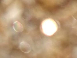 _20220417_185048.JPG