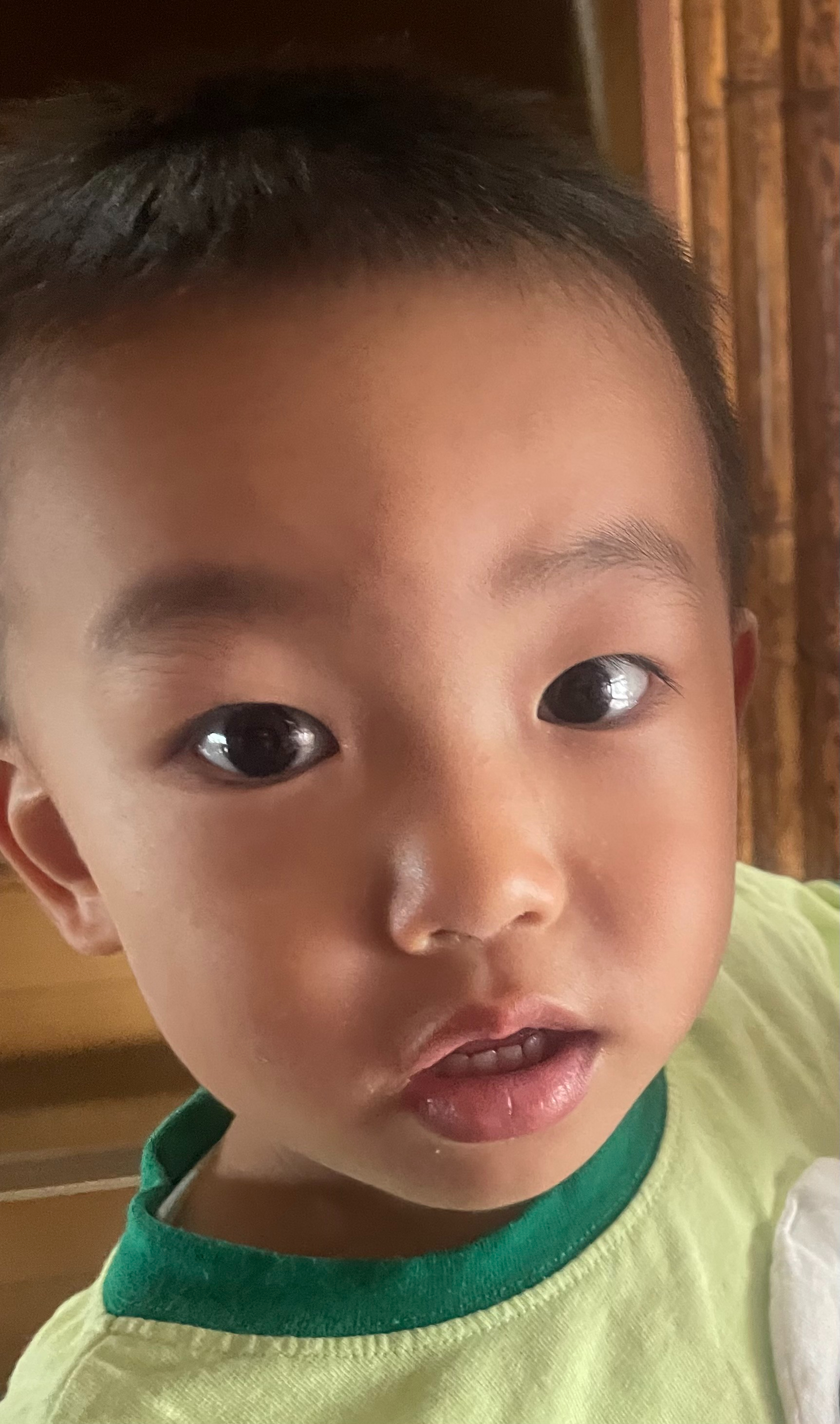 2026.8.29(sat) シャンシャン来家。３才？くらい？.jpg