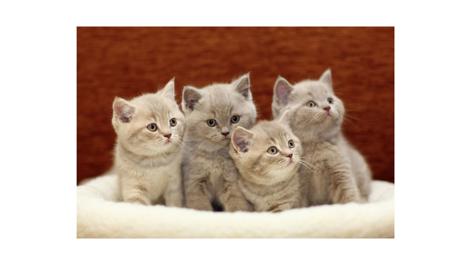 名称未設定のデザイン (60).png