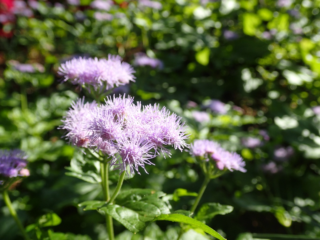 PA100645.JPG