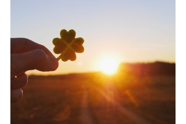 名称未設定のデザイン (18).jpg