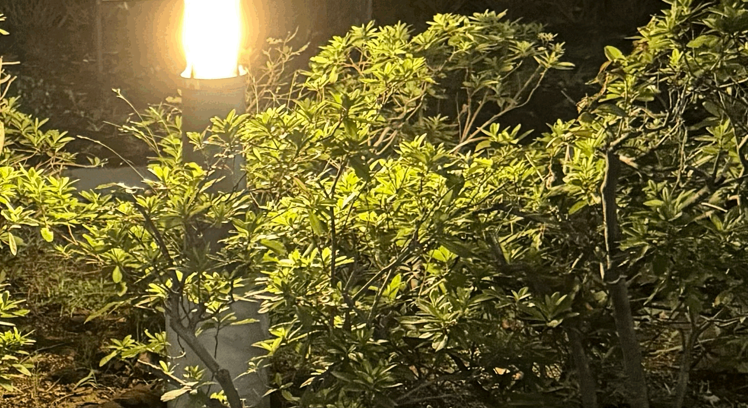 tempImageoCcEy0.gif