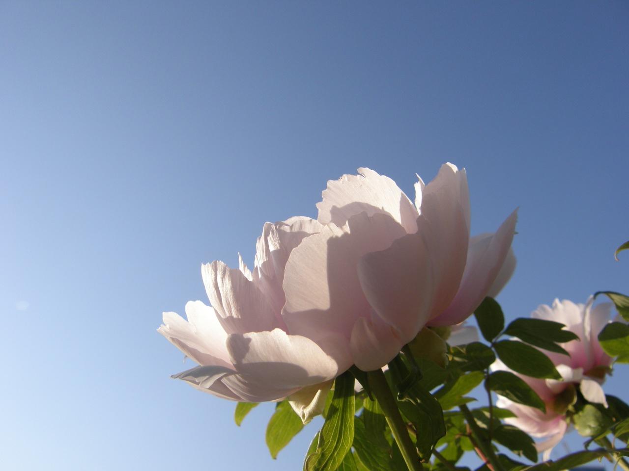 P4220144.JPG